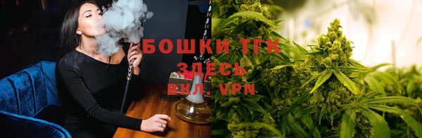 сатива Переславль-Залесский
