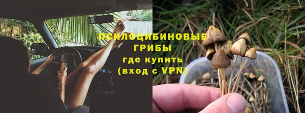 гидропоника Пересвет